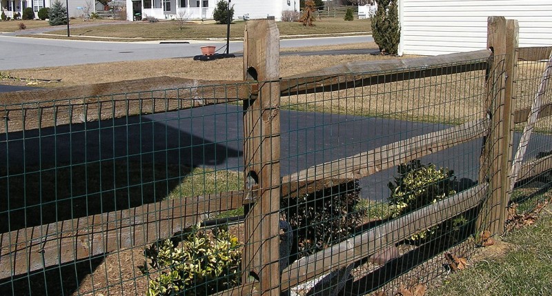 cheap fence ideas