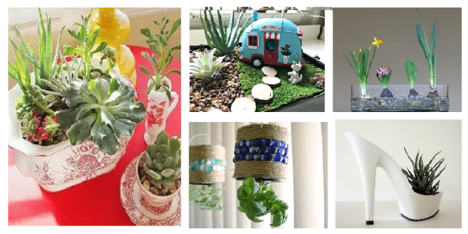 18 cute DIY ideas for indoor gardening