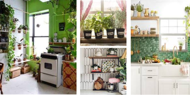 20 Brilliant DIY Garden Ideas for Indoor Kitchen