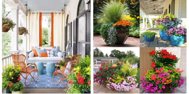 18 plant decor ideas for your porch