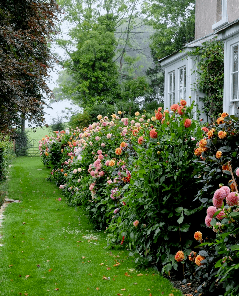 Cottage gardens ai - The Beauty of Traditional English Gardens