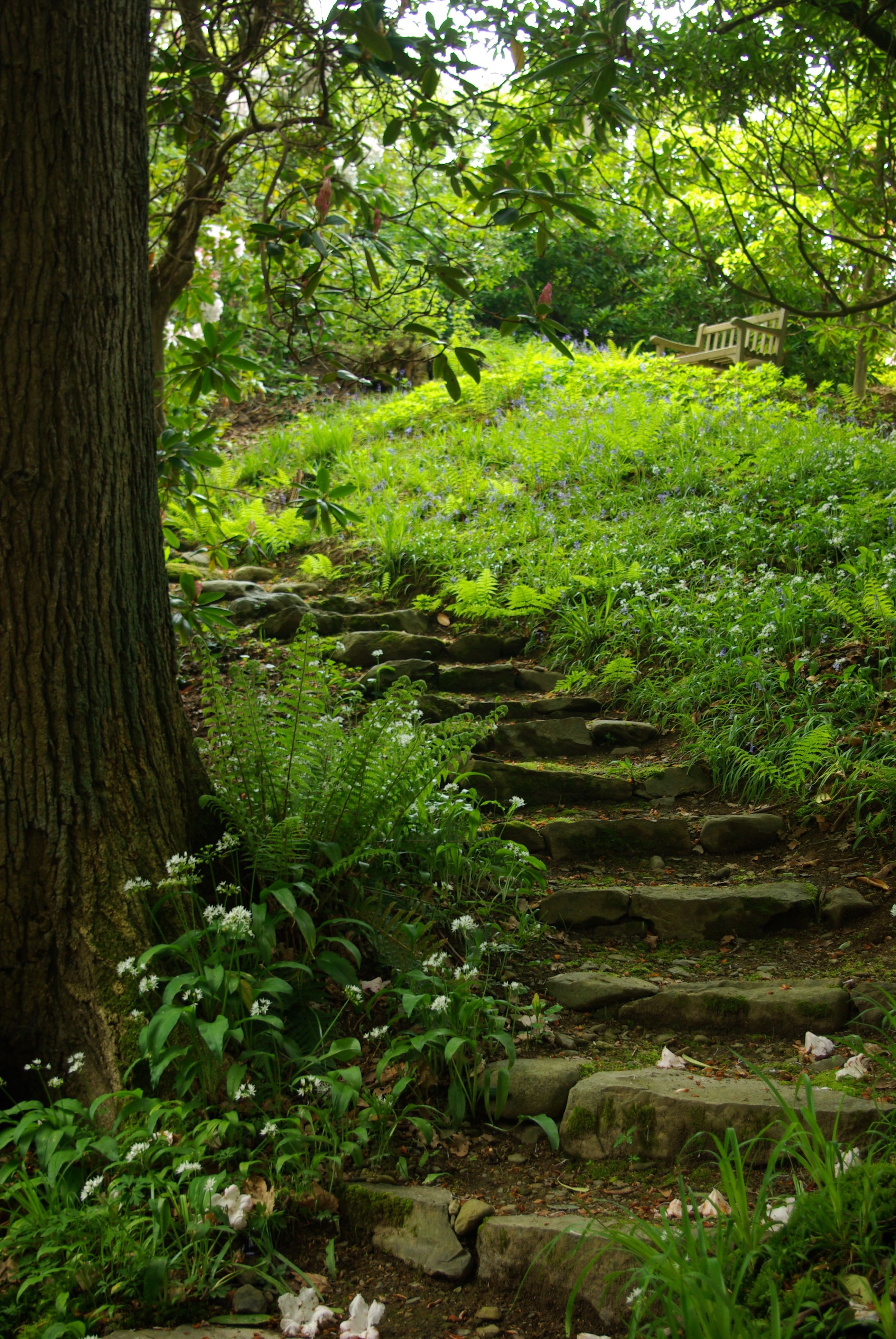 Cottage gardens ai the charming way to bring nature home