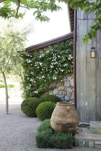 Vintage Garden Ideas: A Timeless Touch to Your Outdoor Space